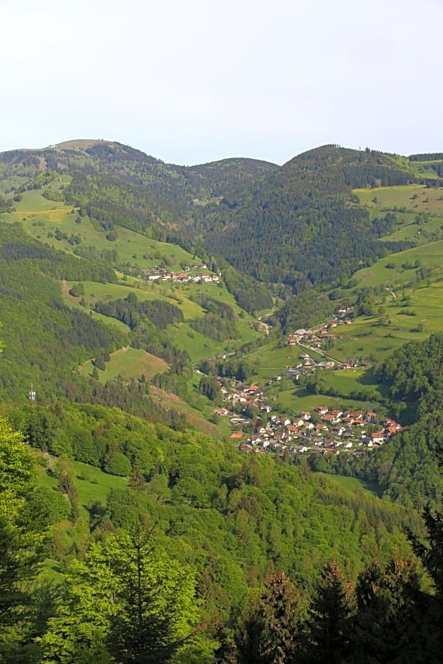 Hotel Kirchbühl im Schwarzwald Hôtel