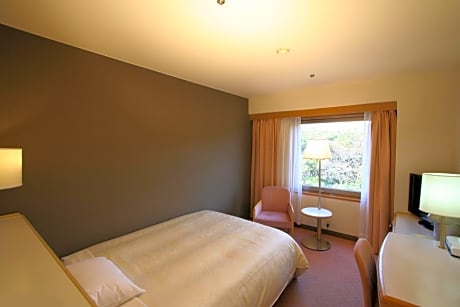 Double Room with Small Double Bed - Smoking