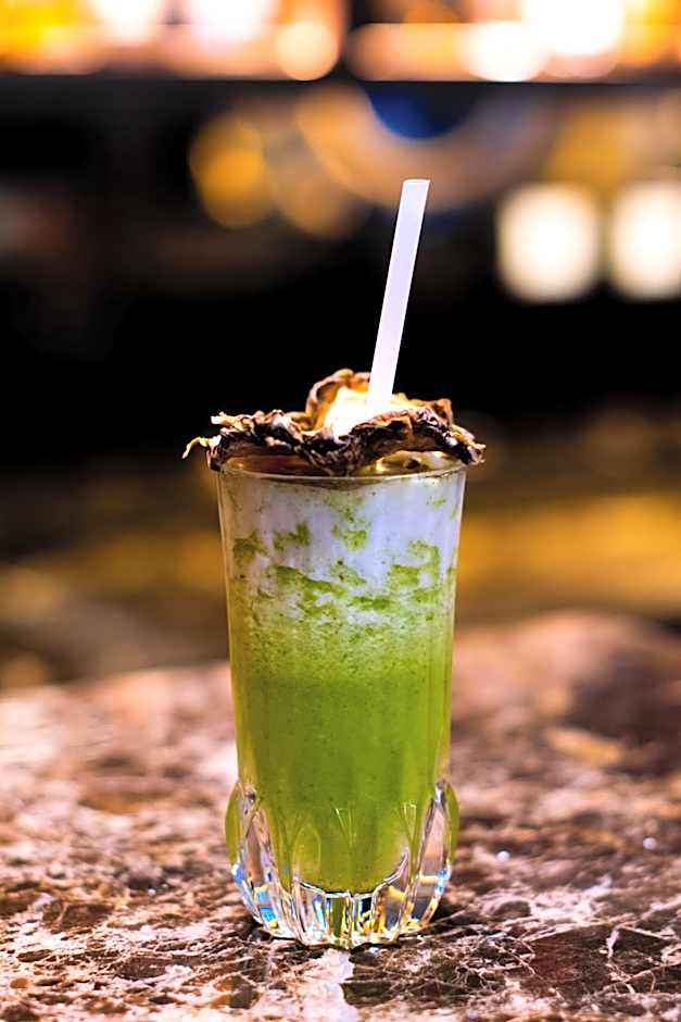 Sana Malhoa Park Hotel