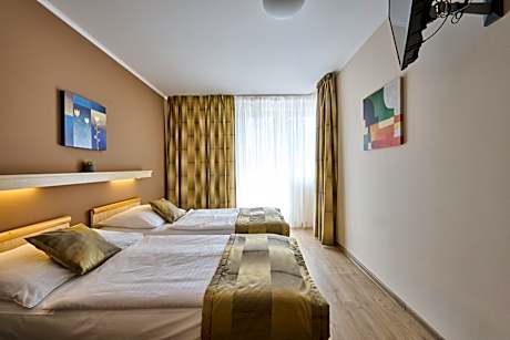 Deluxe Twin/Double Room