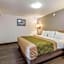 Econo Lodge Truman Inn