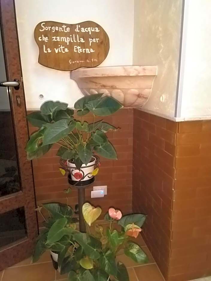 Oasi Madre della Pace