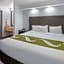 Quality Inn & Suites Richardson-Dallas