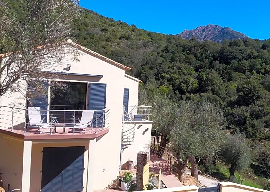 L'oliveraie du Fango