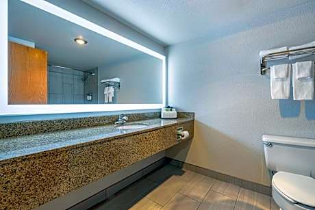 Standard King Room - Non Smoking