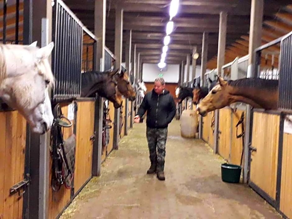 Caballus Lovasmajor Panzió