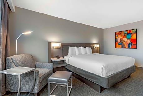One-Bedroom Executive King Suite - Non-Smoking