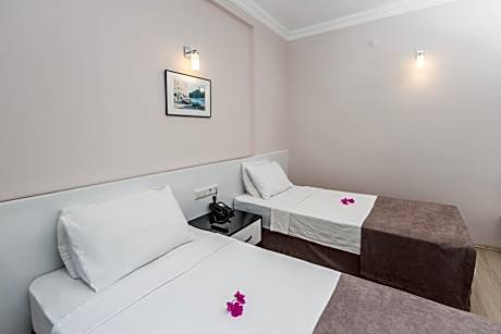 Standard Twin Room with Land View