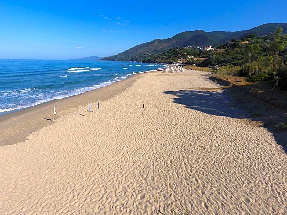 Residence Le Palme - Appartamenti sul mare - Spiaggia tra Palinuro e Caprioli