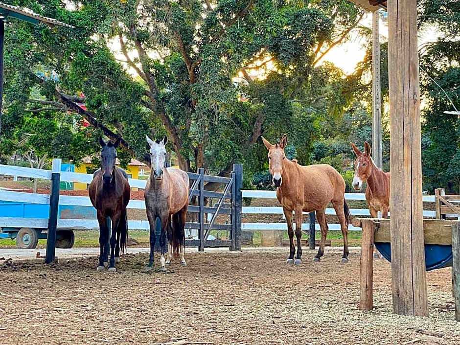 Tijota Hotel Fazenda