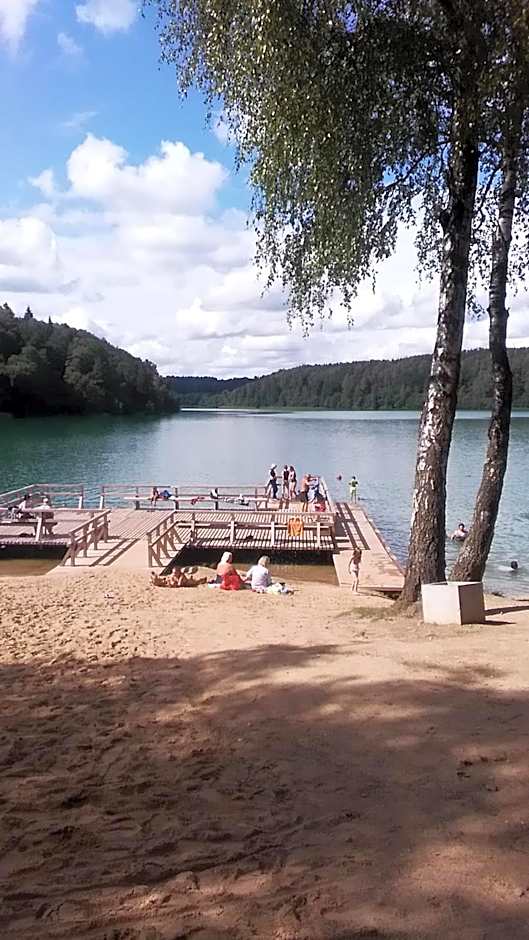 Ginto svetingi namai