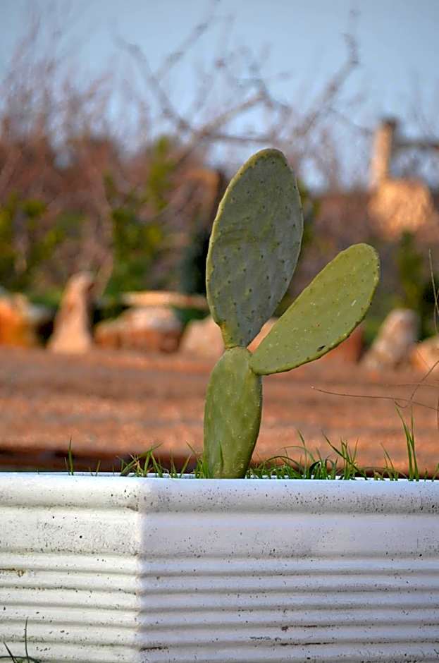 Masseria Poli Country House