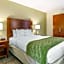 Comfort Inn Downtown Lookout Mountain Chattanooga