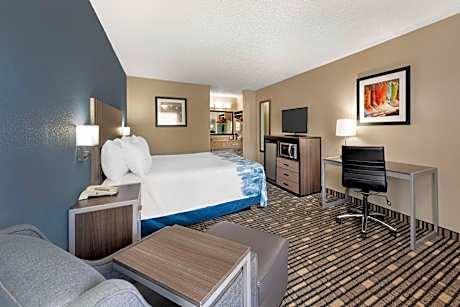 1 King Bed Non-Smoking Pet Friendly Room Microwave And Refrigerator Wi-Fi Shower Only Full Breakfast