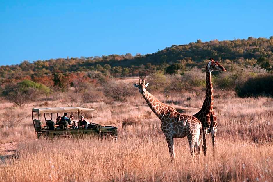 Makweti Safari Lodge