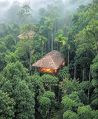 The Woods Resorts Wayanad