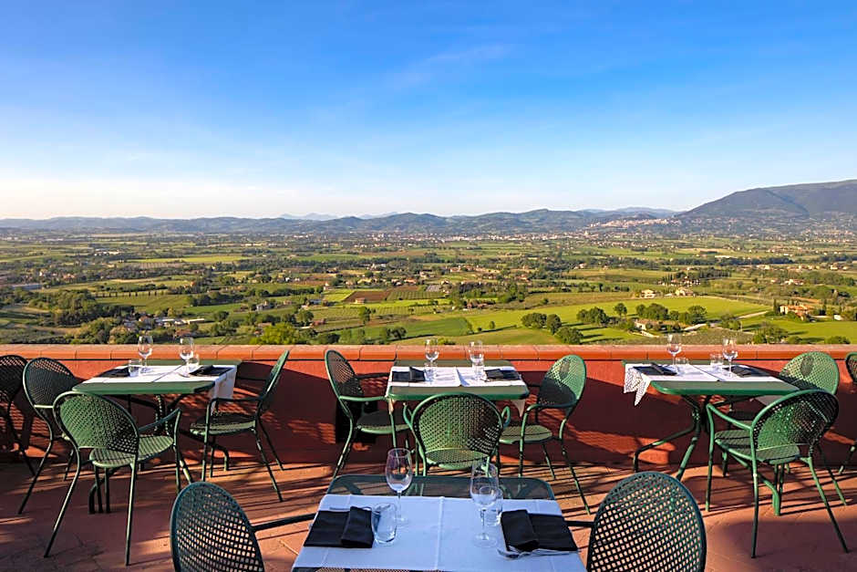 Il Poggio degli Olivi