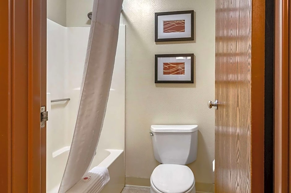 Comfort Inn Bozeman near University