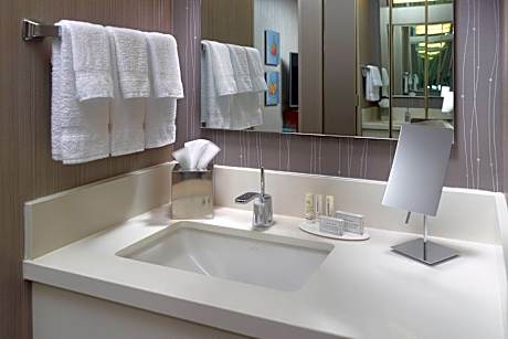 Suite, 1 Bedroom (1 King Bed and 1 Double Sofa Bed)