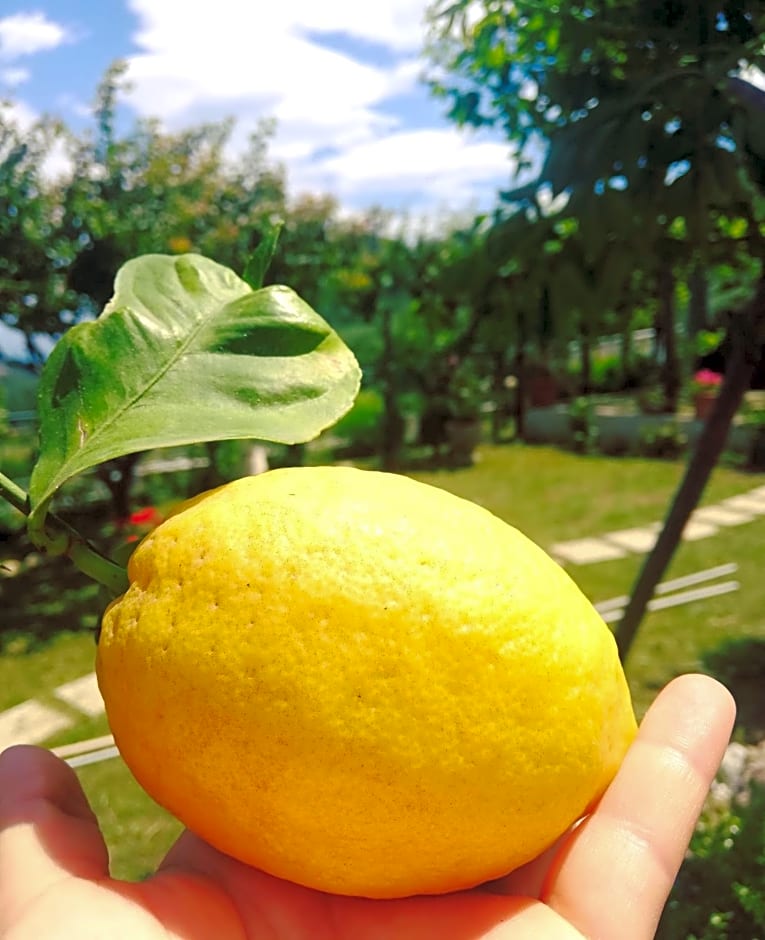 La Roccia Incantata Amalfi Coast