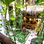 Posada Mariposa Boutique Hotel - 5th Avenue
