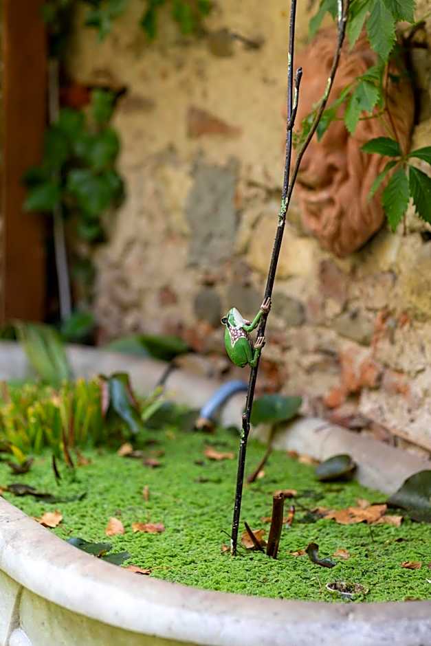 Secret Garden Firenze B&B