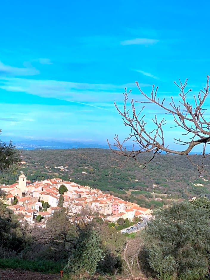 L'aile Du Chateau – Ramatuelle, ID