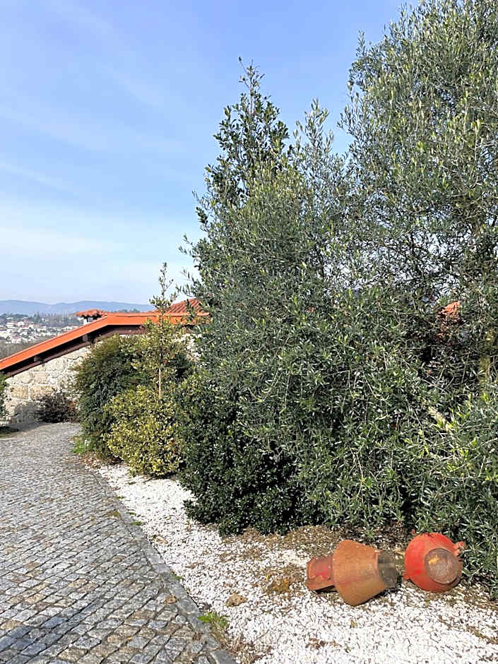 Hotel Quinta da Tulha By VimaHotels