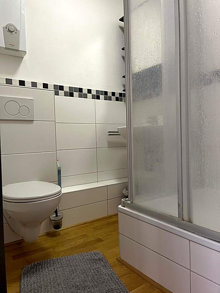 Simplex Apartments Am Ludwigsplatz