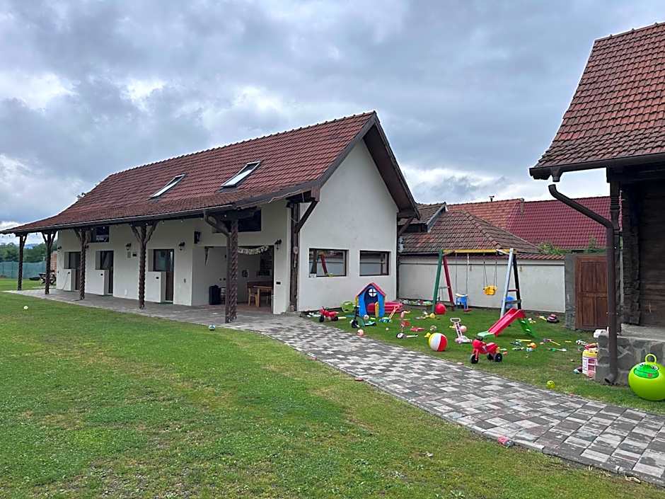 Casa de Lemn Arpasu de jos