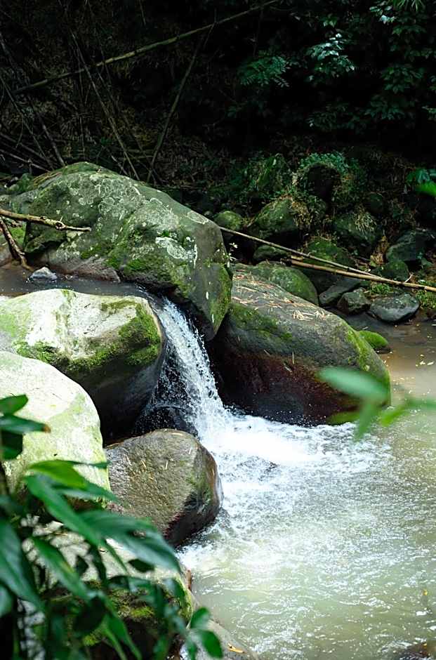 Martinique Treehouse