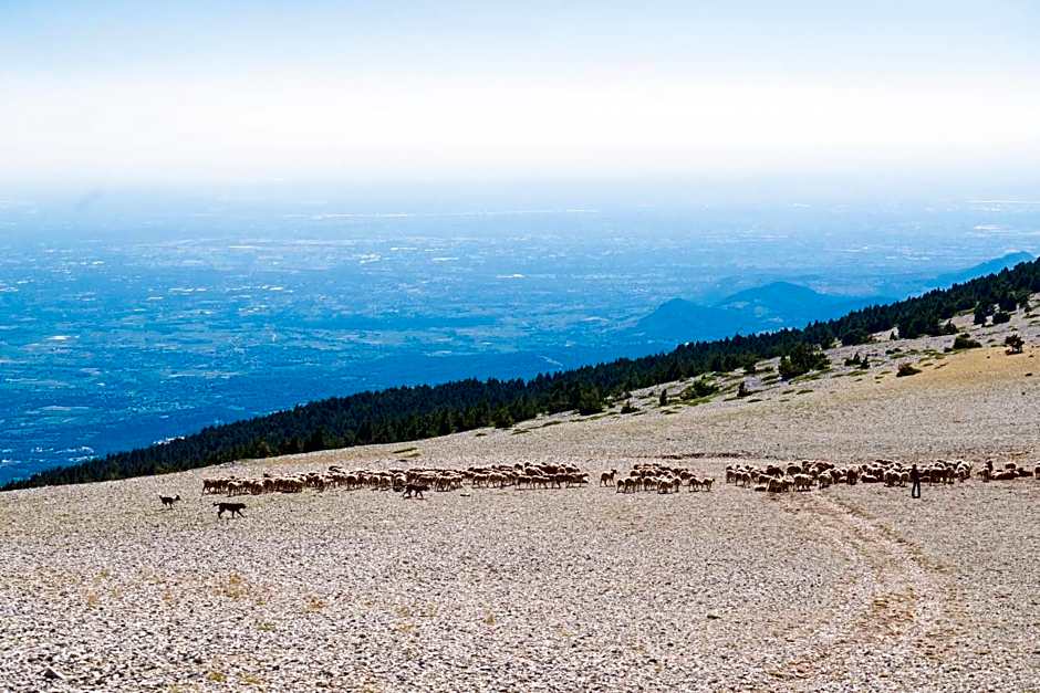 Les Terrasses de Cascavelle