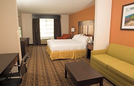 King Suite with Sofa Bed - Non-Smoking