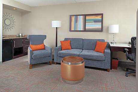 King Suite with Accessible Tub - Mobility and Hearing Access/Non-Smoking