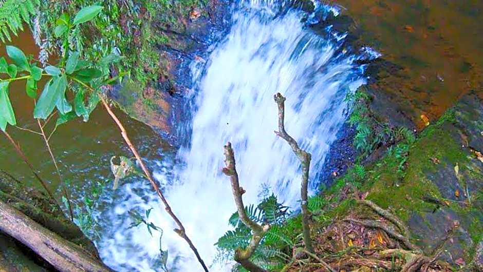 Pousada Muro de Pedra