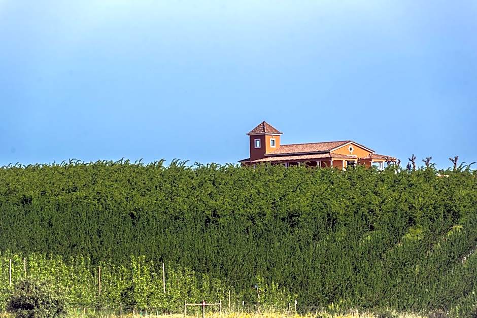 Vila Gale Alentejo Vineyard - Clube de Campo