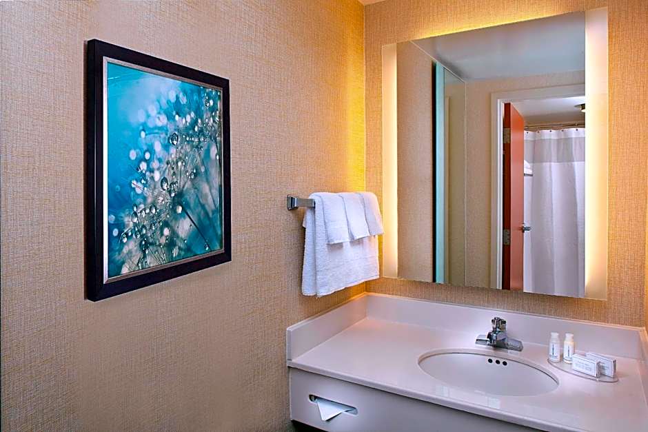 Springhill Suites by Marriott Orlando Lake Buena Vista In Marrio