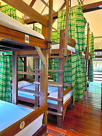 Bunk Bed in Mixed Dormitory Room