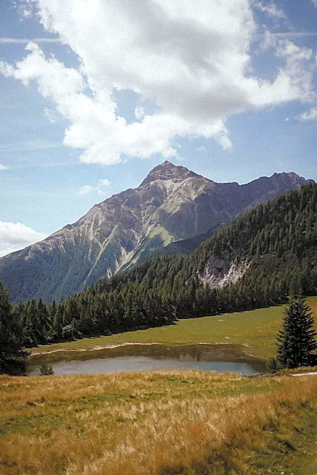 Stelza Nature Chalet