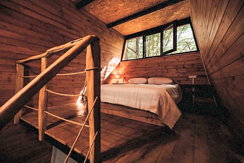 Eco Village In The Forest