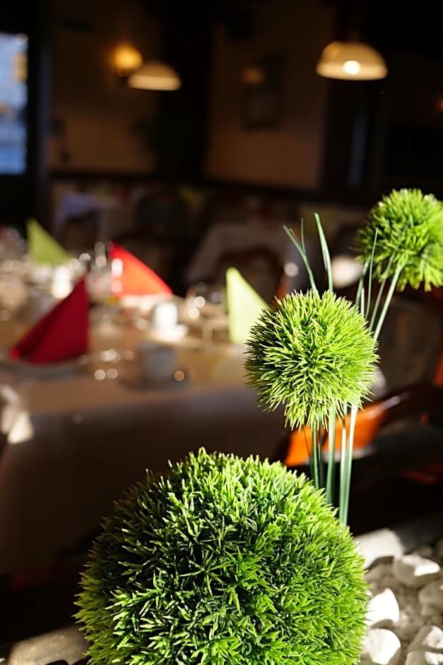 Parkhotel Bergheim
