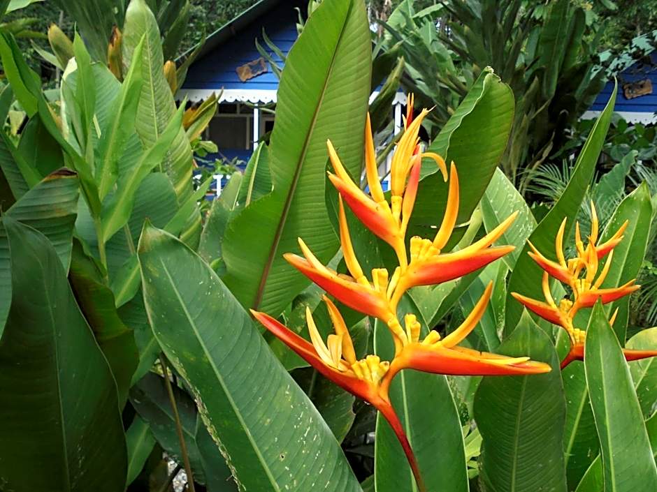 Hotel Casitas Mar y Luz