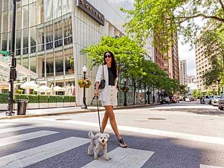 Sofitel Chicago Magnificent Mile