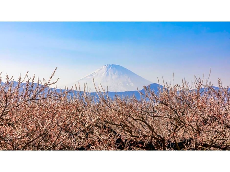 Odawara Terminal Hotel - Vacation STAY 83672v