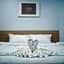 Creston Grand Hotel Suphan Buri