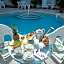 Amsterdam s Curry Mansion Inn