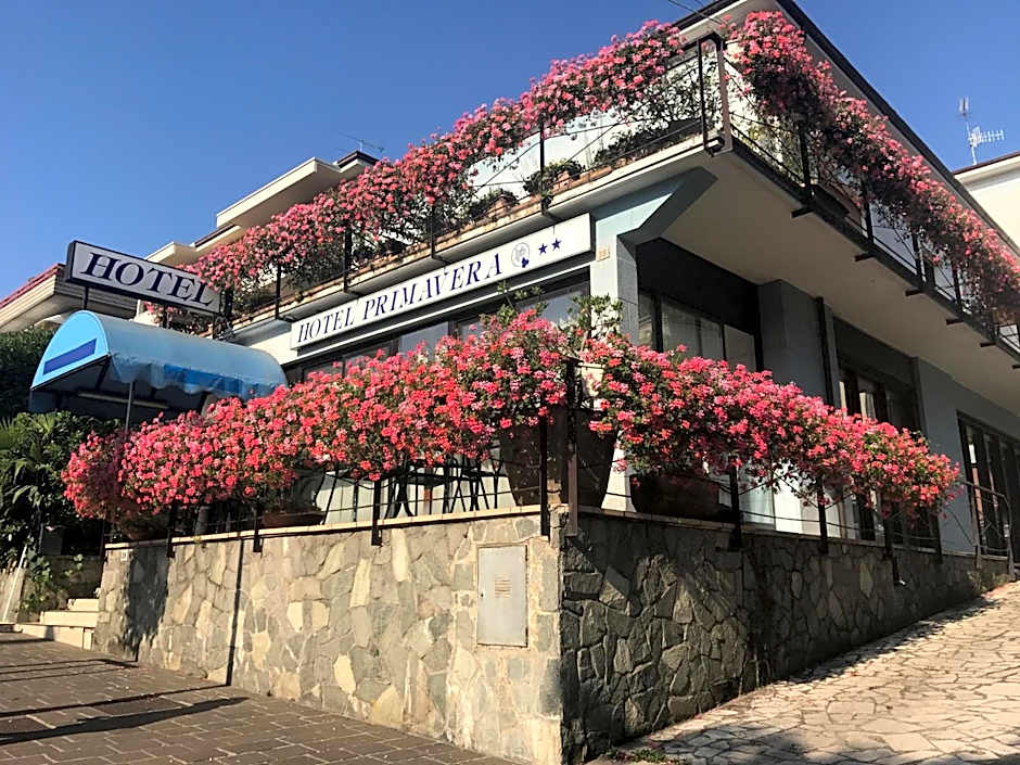 Photo 1 of 50 of Hotel Primavera