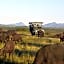 Botlierskop Private Game Reserve