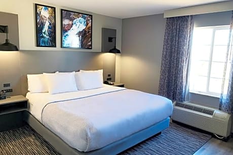 1 King Bed Non-Smoking