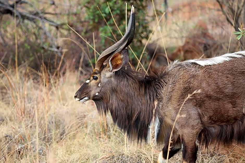 Schrikkloof Private Nature Reserve, home of The Lions Foundation